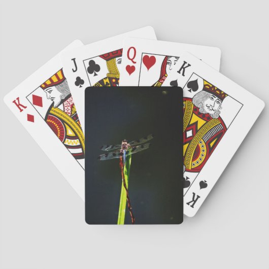 Blaue und schwarze Libelle auf grünem und rotem Gr Spielkarten (Rückseite)