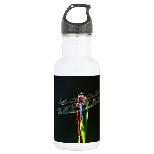 Blaue und schwarze Libelle auf grünem und rotem Gr Trinkflasche (Vorderseite)