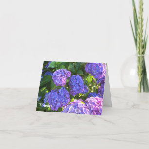 Blaue und violette Hortensien Danke
