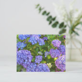 Blaue und violette Hortensien Postkarte (Stehend Vorderseite)