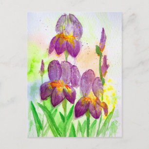 Blaue und violette Schwertlilien in Aquarellmalere Feiertagspostkarte