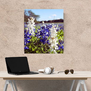 Blaue und weiße Bluebonnet-Druck Texas Heimdekorat Fotodruck