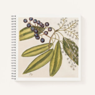 Blaue und weiße botanische Illustration aus dem 18 Notizblock
