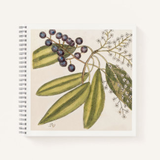 Blaue und weiße botanische Illustration aus dem 18 Notizblock