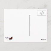 Blaue und weiße Feuerwerkskörper Postkarte (Rückseite)