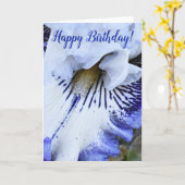 Blaue und weiße Iris Floral Geburtstag Karte (Gelbe Blume)