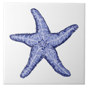 Blaue und weiße Keramik Fliese