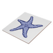 Blaue und weiße Keramik Fliese (Seite)