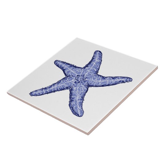 Blaue und weiße Keramik Fliese (Seite)