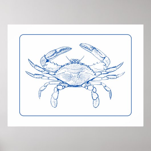 Blaue und weiße Krabbe an der Küste Poster (Vorne)