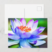 Blaue und weiße Lilie Postkarte (Vorne/Hinten)
