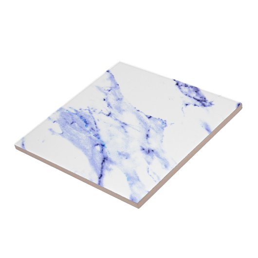 Blaue und weiße Marmorplatte Fliese (Seite)