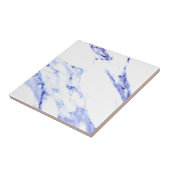 Blaue und weiße Marmorplatte Fliese (Seite)