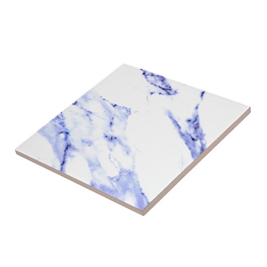 Blaue und weiße Marmorplatte Fliese (Seite)