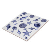 Blaue und weiße Muscheln Fliese (Seite)