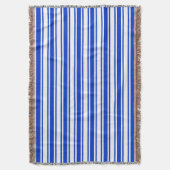 Blaue und weiße Streifen Decke (Vorderseite Vertikal)