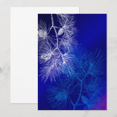 Blaue und weiße Winterkiefer (Vorne/Hinten)