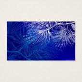 Blaue und weiße Winterkiefer (Rückseite)