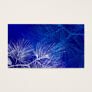 Blaue und weiße Winterkiefer