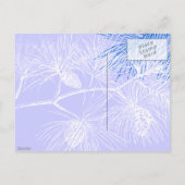 Blaue und weiße Winterkiefer Postkarte (Rückseite)