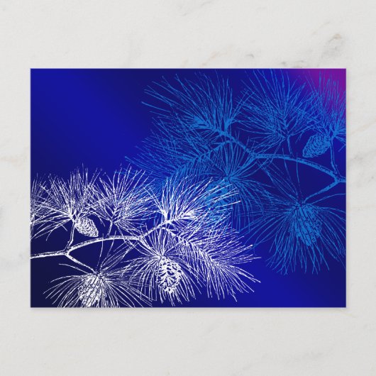 Blaue und weiße Winterkiefer Postkarte (Vorderseite)