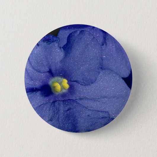 Blaue Usambaraveilchen-Blumen Button (Vorderseite)