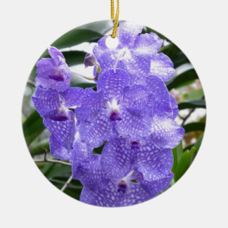 Blaue Vanda-Orchideen-Blumen Keramikornament