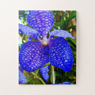Blaue Venen Vanda-Orchidee für Alzheimer-Bewusst Puzzle
