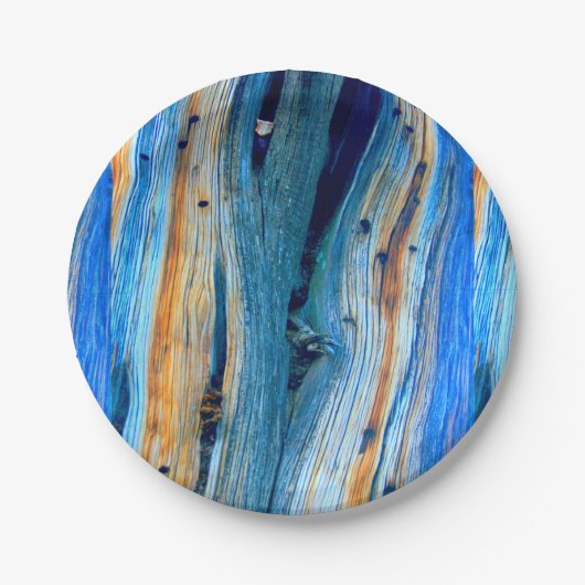 blaue verwitterte Stallplatten Pappteller (Vorderseite)