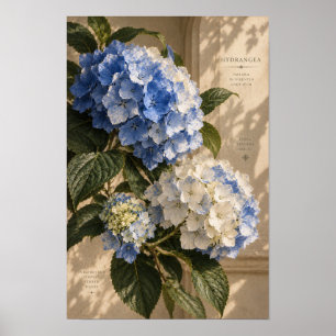 Blaue Vintage-Hortensien-Blumen-Wandkunst Poster
