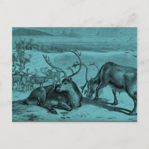 Blaue Vintage-Rentier-Illustration Postkarte