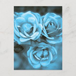 Blaue Vintage Rose Postkarte