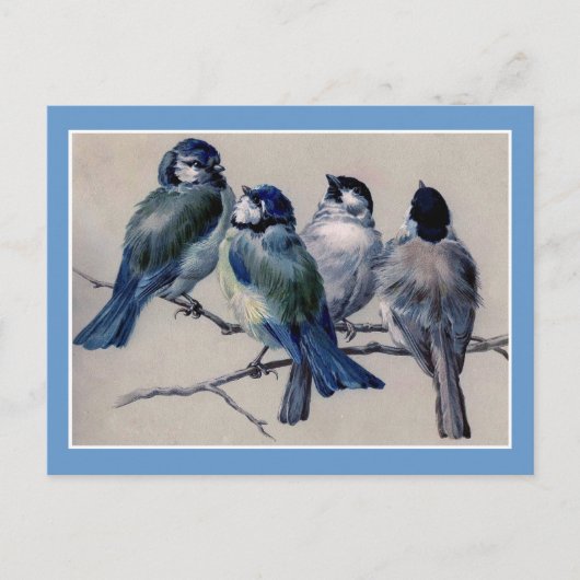 Blaue Vögel auf einer Zweigstelle Postkarte (Vorderseite)