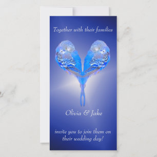 Blaue Vögel bei der nächtlich blauen Hochzeit