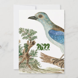 Blaue Vögel Einladung