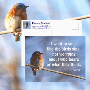 Blaue Vogel Ich möchte Rumi-Zitat fotografisch sin Postkarte