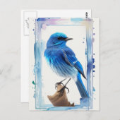 Blaue Vögel im Wasser Postkarte (Vorne/Hinten)