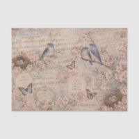 Blaue Vögel Kirschblüten Notenpapier