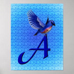 Blaue Vogel-Monogramm Initiale A Poster