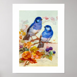 Blaue Vögel Poster