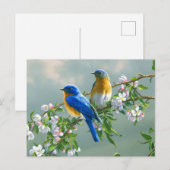 Blaue Vögel Postkarte (Vorne/Hinten)
