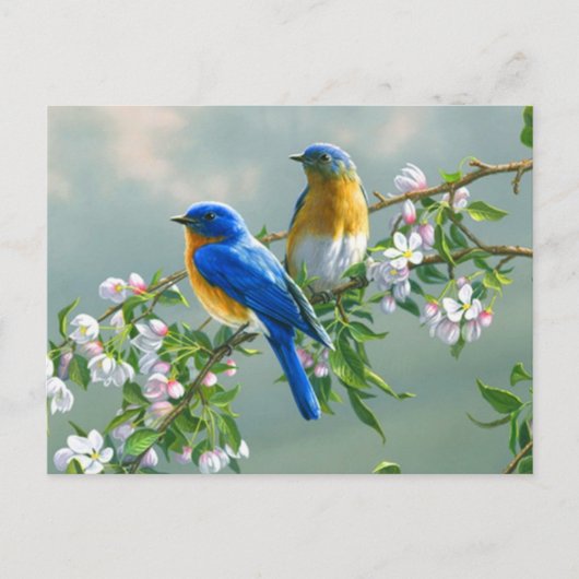 Blaue Vögel Postkarte (Vorderseite)