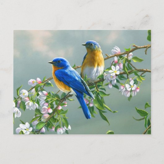 Blaue Vögel Postkarte (Vorderseite)