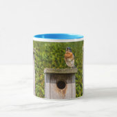 Blaue Vögel Tasse (Zentrum)