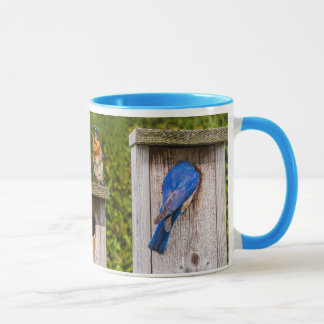 Blaue Vögel Tasse