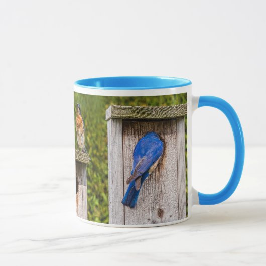 Blaue Vögel Tasse (Rechts)
