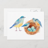 Blaue Vögel und Nestkarte Postkarte (Vorne/Hinten)