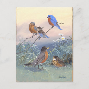 Blaue Vogel und Rotkehlchen im Vintage-Stil Postkarte