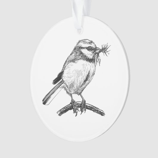 Blaue Vogelfarbe zeichnend Ornament (Vorderseite)