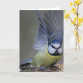 Blaue Vogelflügel Karte (Gelbe Blume)